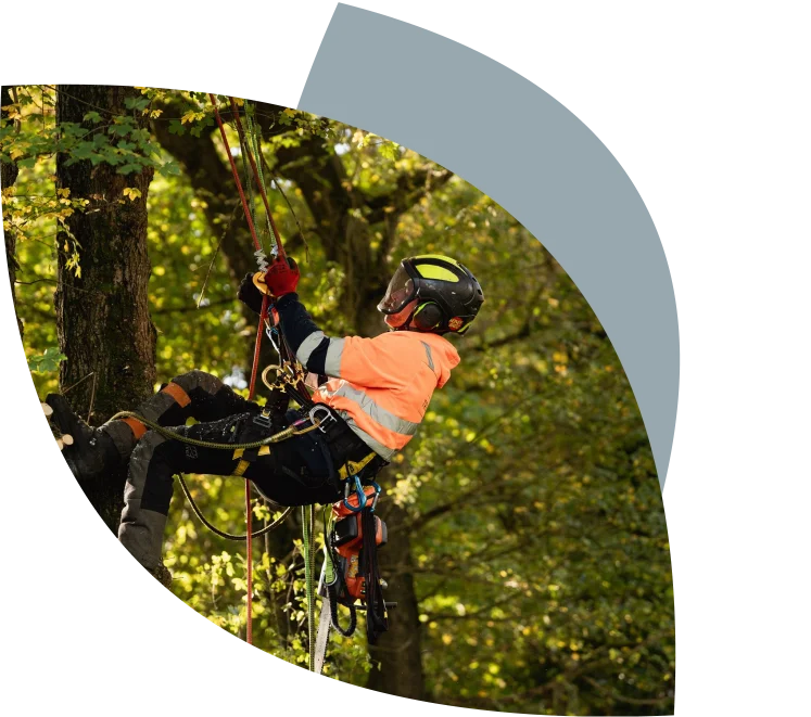 35061c5719f6a8602b2d21e31bdb7142 (1)