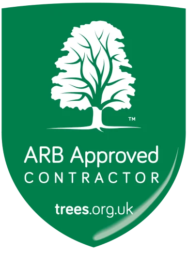 bd97e59406b60e17c7fee4d520dc5b6a